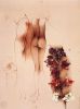 Bruno Bruni art print