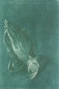Albrecht Durer art print