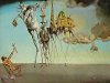 Salvador Dali art print