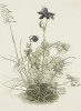 Albrecht Durer art print