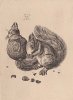 Albrecht Durer art print