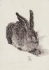 Albrecht Durer art print