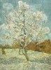 Vincent Van Gogh art print