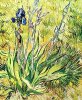 Vincent Van Gogh art print