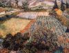 Vincent Van Gogh art print