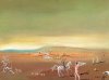 Salvador Dali art print