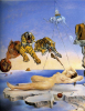 Salvador Dali art print