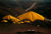 Christo art print