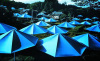 Christo art print