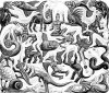 M.C. Escher art print