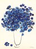 Heide Dahl art print