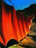 Christo art print