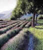 Lutz M�nzfeld art print