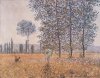 Claude Monet art print