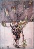 Horst Janssen art print