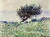 Claude Monet art print