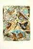 Andre Masson art print