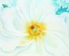 Georgia O'Keeffe art print