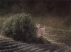 Lutz M�nzfeld art print