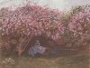 Claude Monet art print