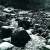 Ansel Adams art print