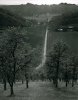 Ansel Adams art print