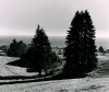 Ansel Adams art print