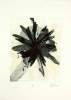 Otto Piene art print