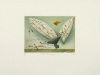 Josef Werner art print