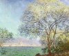 Claude Monet art print