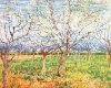 Vincent Van Gogh art print