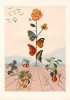 Salvador Dali art print