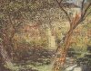 Claude Monet art print