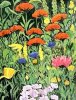 Eleonore Baur-Brinkman art print