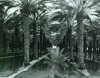 Ansel Adams art print