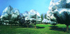 Christo art print