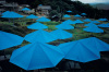 Christo art print