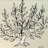 Henri Matisse art print