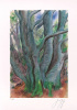 Guenter Grass art print