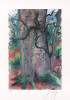 Guenter Grass art print