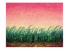 Folkert Rasch art print
