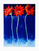 Nel Whatmore art print