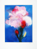 Hans Richter art print