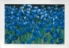 Norbert Schaefer art print