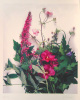 Gerhard Treichel art print