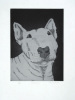 Sonia Rollo art print