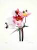 Gerhard Treichel art print