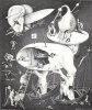 M.C. Escher art print