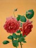 Kris Scholz art print