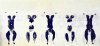 Yves Klein art print